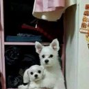 연세다움병원 이미지