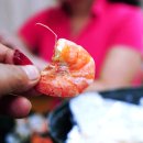 대천해솔팬션 | 대천 맛집 : 바다를 한 입에 넣은 듯한 정남수산 33호