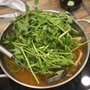 등촌샤브칼국수 배방점 이미지