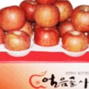 얼음골사과