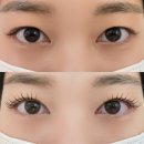 반송동133 | 화성 반송동 || 누오 아이래쉬 / 동탄 개나리공원 속눈썹펌 숨은 맛집 솔직 후기