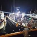 광어랑우럭이랑 | 우럭라이트지깅 광어다운샷 병행 출조, 안면도 방포항 저수온기 사리 물때 후기