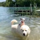 개편한세상 이미지