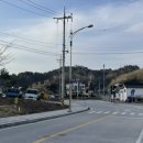 삼거리식당 옆 이미지