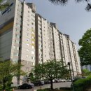 분당-391 이미지