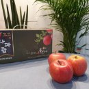 진선미농장 이미지