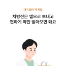 나우벽지 | 닥터나우 비대면 진료 후기