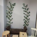 가가스튜디오 이미지