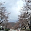 황매산철쭉영농조합 이미지