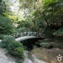 금강식물원 Daum카페