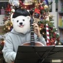 첼로(초등학교 2~6학년) 이미지