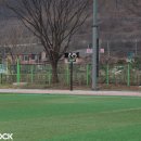 대강면사무소 네이버블로그