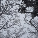 덕유산의 풍경 펜션 이미지