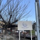 (주)천이코끼리주유소 | [문경 별하숲캠핑장] B7 사이트 후기 / (내 마음속) 경북 5성급 캠핑장 ✨ / 여전히 우당탕탕 캠퍼 ..