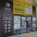 야옹아멍멍해봐울산
