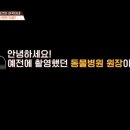 프로그램 촬영이 끝나자마자 강아지 '잃어버린' 역대급 출연자 이미지