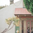 그림상회