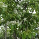 SOS프란치스카의집 이미지