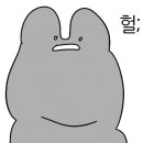 해방집 이미지