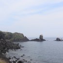 핫플게스트하우스 이미지