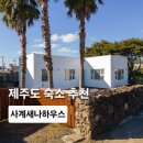 돌담길 | 제주도펜션 사계새나하우스 돌담길 감성 민박 가족숙소 후기