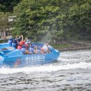 캠프통포레스트 이미지