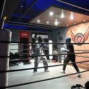 레드윙 복싱 이미지