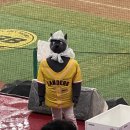 버거데이 이미지