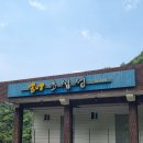 송이초심정