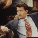 성 수의과병원 이미지