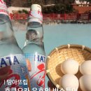 아킴코스 | 후쿠오카 유후인 버스투어 예약 추천 ㅣ 당일 온천 / 당일 예약