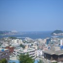 감지해변 Daum카페