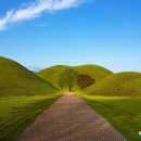 미드나잇 인 경주 이미지