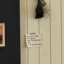 펫츠아일랜드 수월점 이미지