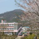 청산중학교 이미지