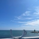 청사포 돼지국밥