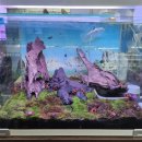 고래의꿈 수족관 이미지