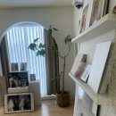 고오 | 고오스튜디오 셀렉 추가금 폭탄 보정 솔직 후기