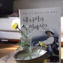 "올해 80세.. 지리산 종주 다시 도전합니다" 도보여행가 황안나씨 (기사 옮김) 이미지