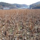 대금농장 이미지