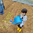 준이농장2 네이버블로그