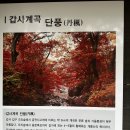 갑사 산행기 이미지