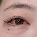 더 올림(The Ollim) | [더올림] 일산속눈썹연장 / 연장 맛집 / 백석 속눈썹연장