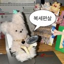 오슬레 | ㄷH충살ㅈr 6월 캘린더에 멈춰있어도...