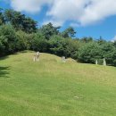 홍서봉 신도비 및 묘역 이미지