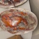 황산초지사계절바다낚시터 | 황산초지바다낚시터 오랜만에 다녀온 랍스터 낚시 내돈내산 후기