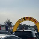 봄, 벚꽃, 강릉 바다 | 1박 2일 여행(2)