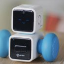 큐브로이드 이미지