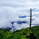 무주조은펜션 이미지