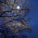 향기로운 염원 이미지